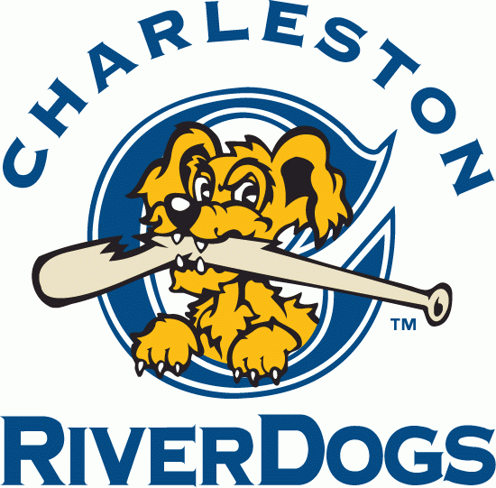Charleston Riverdogs 1996-2010 Primary Logo iron on heat transfer